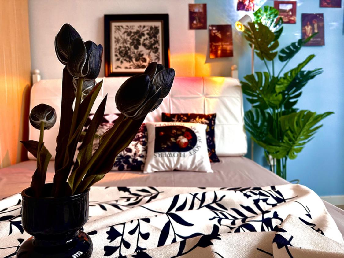 合租·莘城公寓