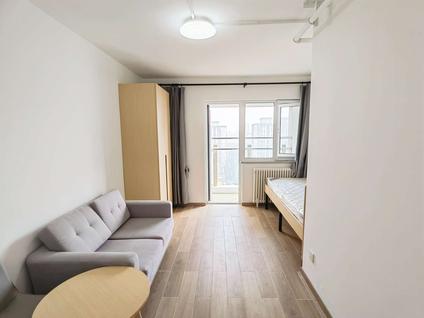 丰台马家堡整租 瑞丽江畔(南区)1室1厅/45平/中楼层