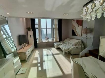 松江松江大学城整租 中展瑞景1室1厅/58平/低楼层