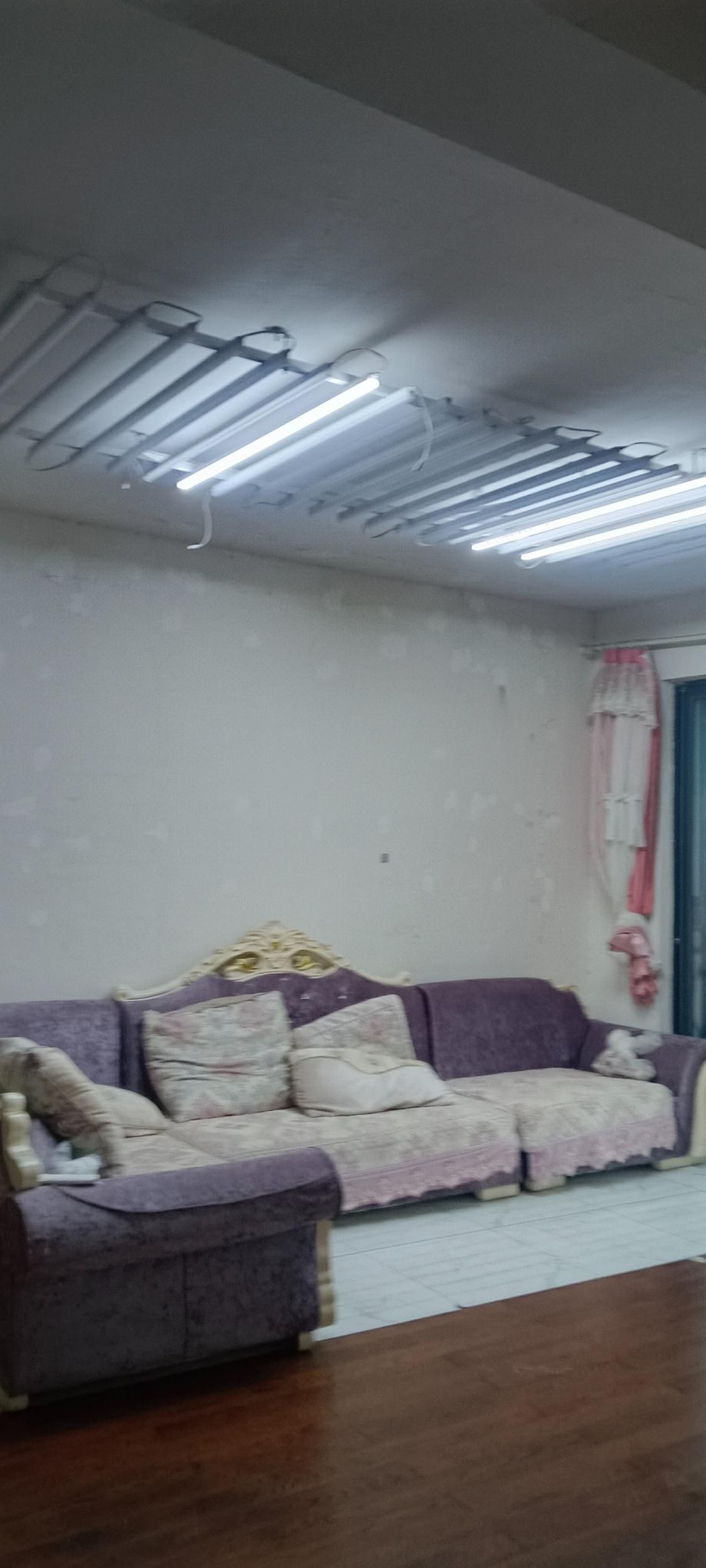 整租·碧桂园滨湖城