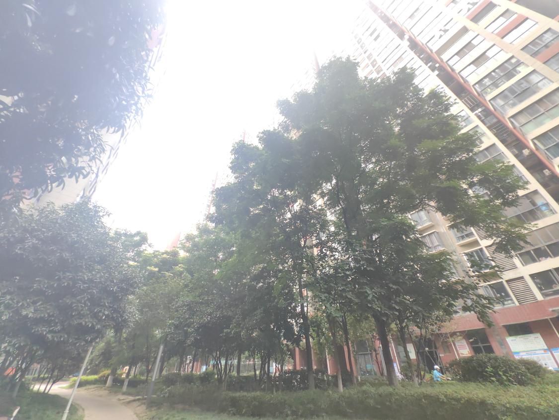整租·南国尚都
