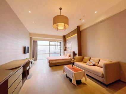 余杭未来科技城整租 欧美金融城1室1厅/56平/高楼层