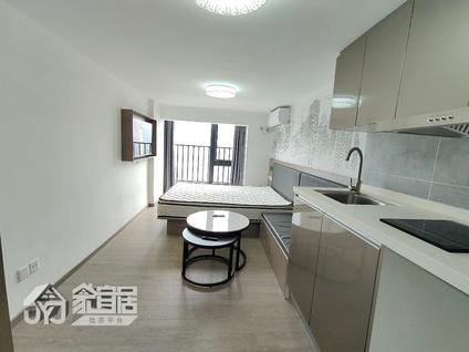 江海河南整租 合景领峰花园1室1厅/29平/高楼层