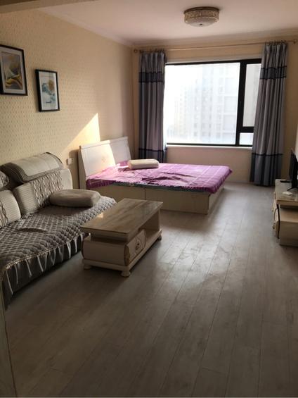 普兰店普兰店周边整租 天都城(海皮公路)1室1厅/48平/低楼层