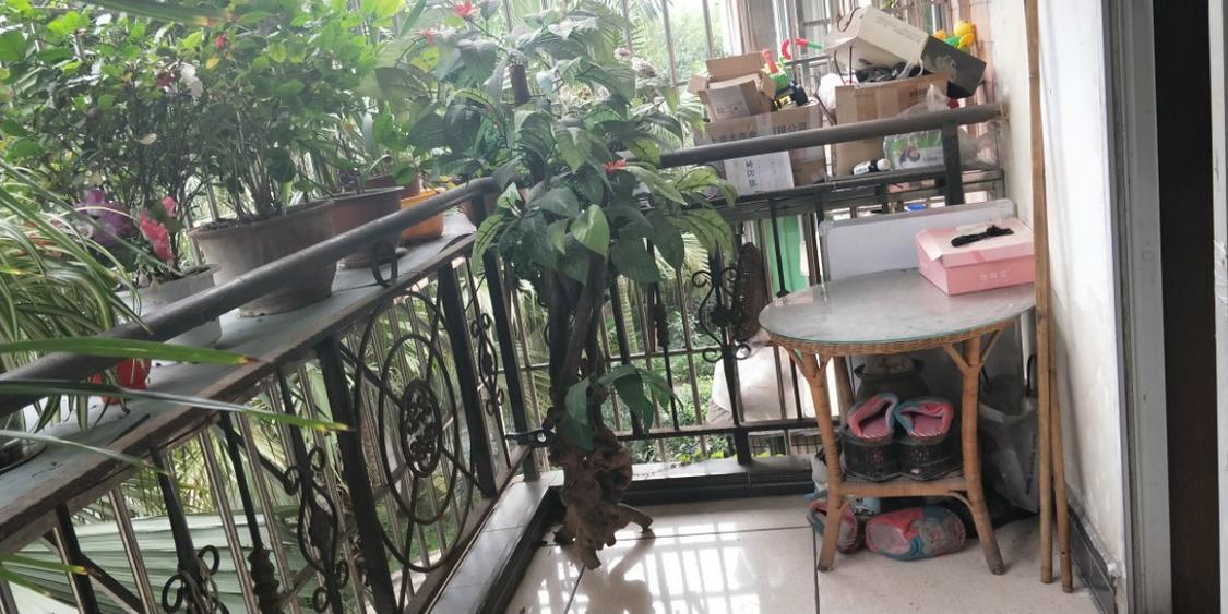 整租·山水名苑