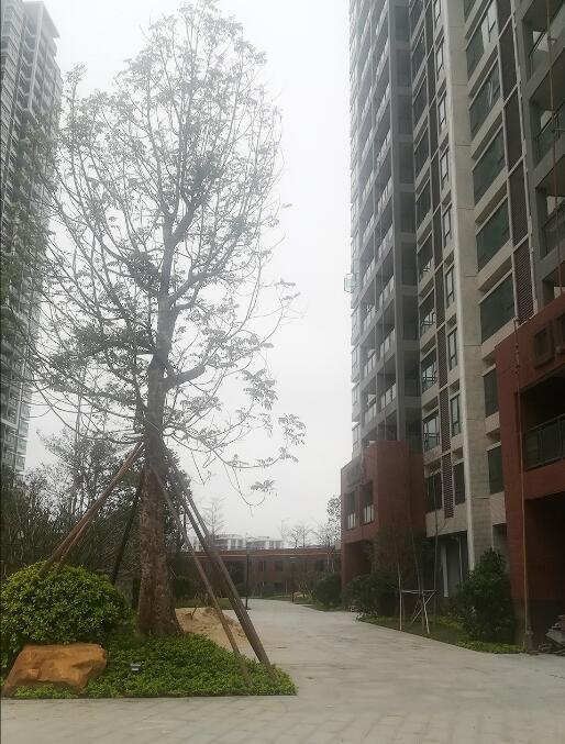 整租·文华豪庭