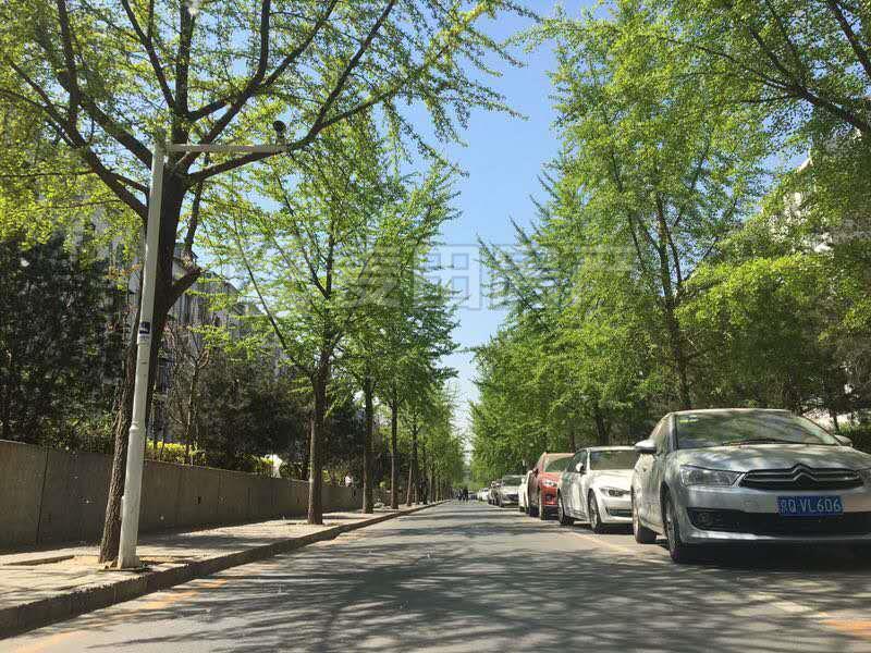 整租·上地东里