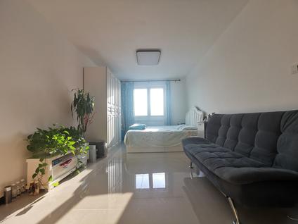 丰台卢沟桥整租 中奥嘉园(北区)1室0厅/55平/顶层