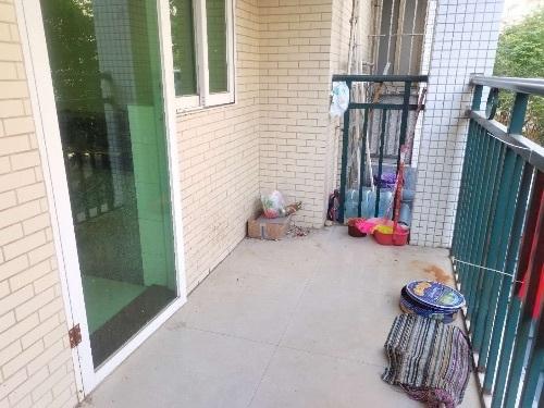 整租·星河花园