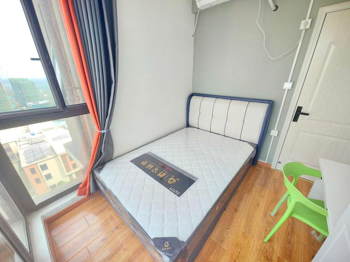 合租·罗马假日