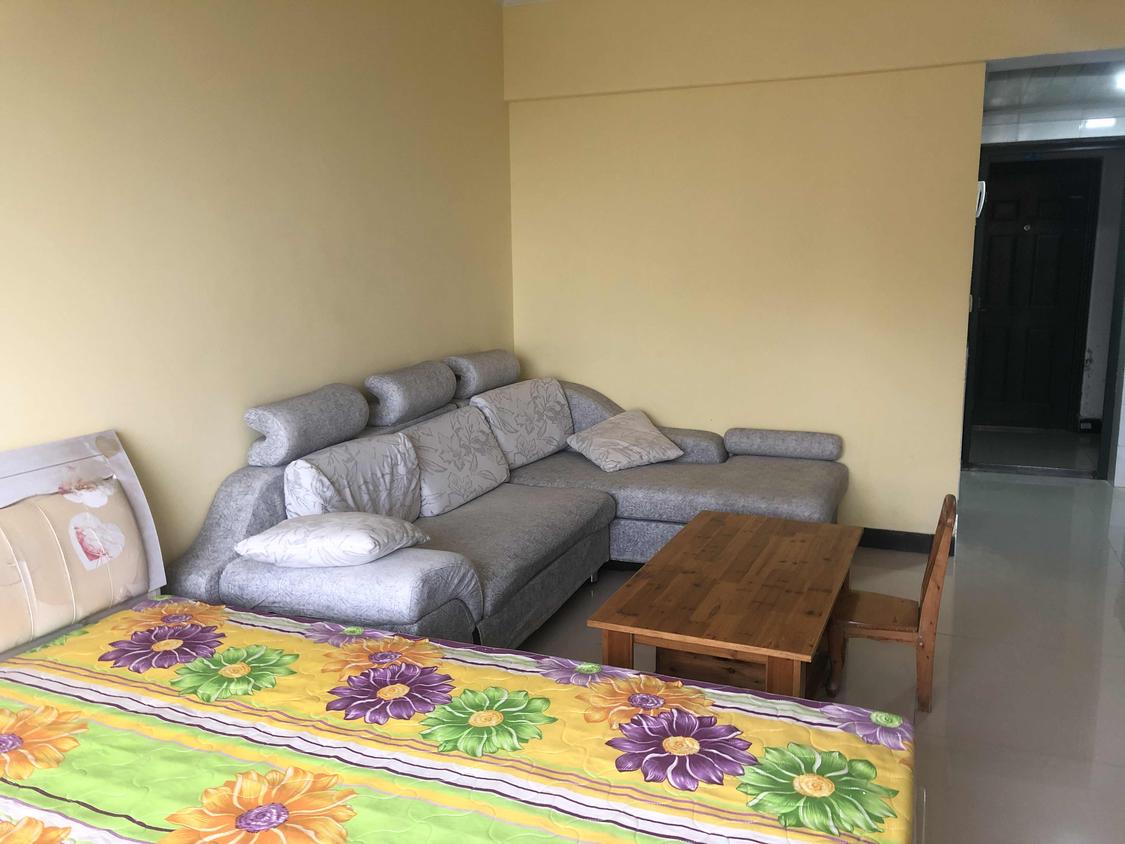 整租·爱华龙都