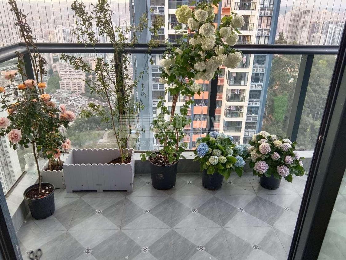 整租·悦峰华府