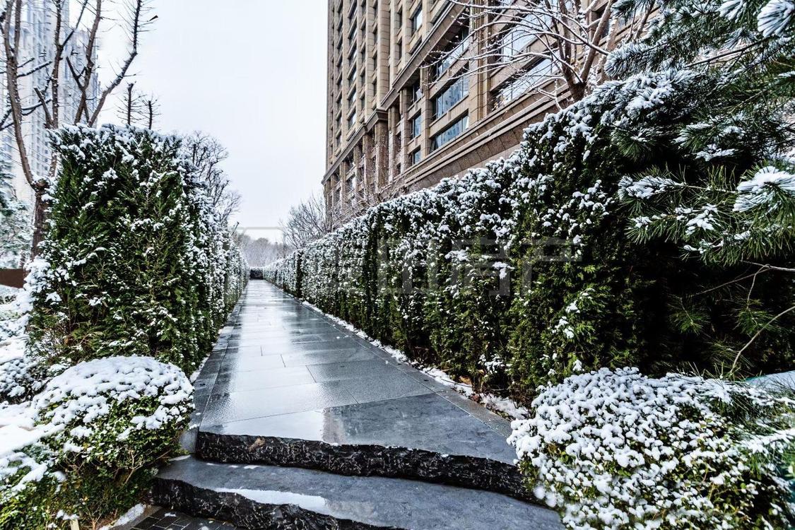 整租·合生霄云路8号