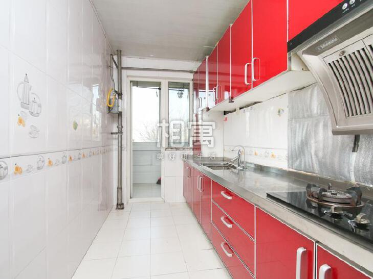 合租·天天朝阳