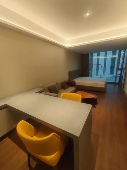 闵行华漕整租 中骏广场1室1厅/45平/低楼层