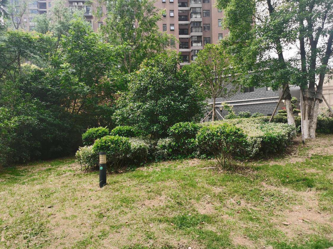 整租·越美金江宝邸