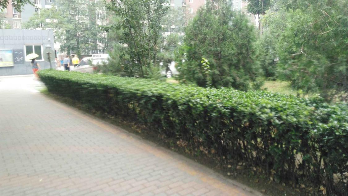 合租·百子湾家园(A区)