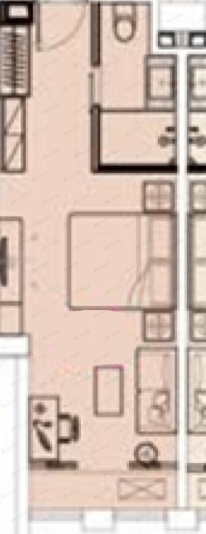 1室1厅1卫建面43平南户型图