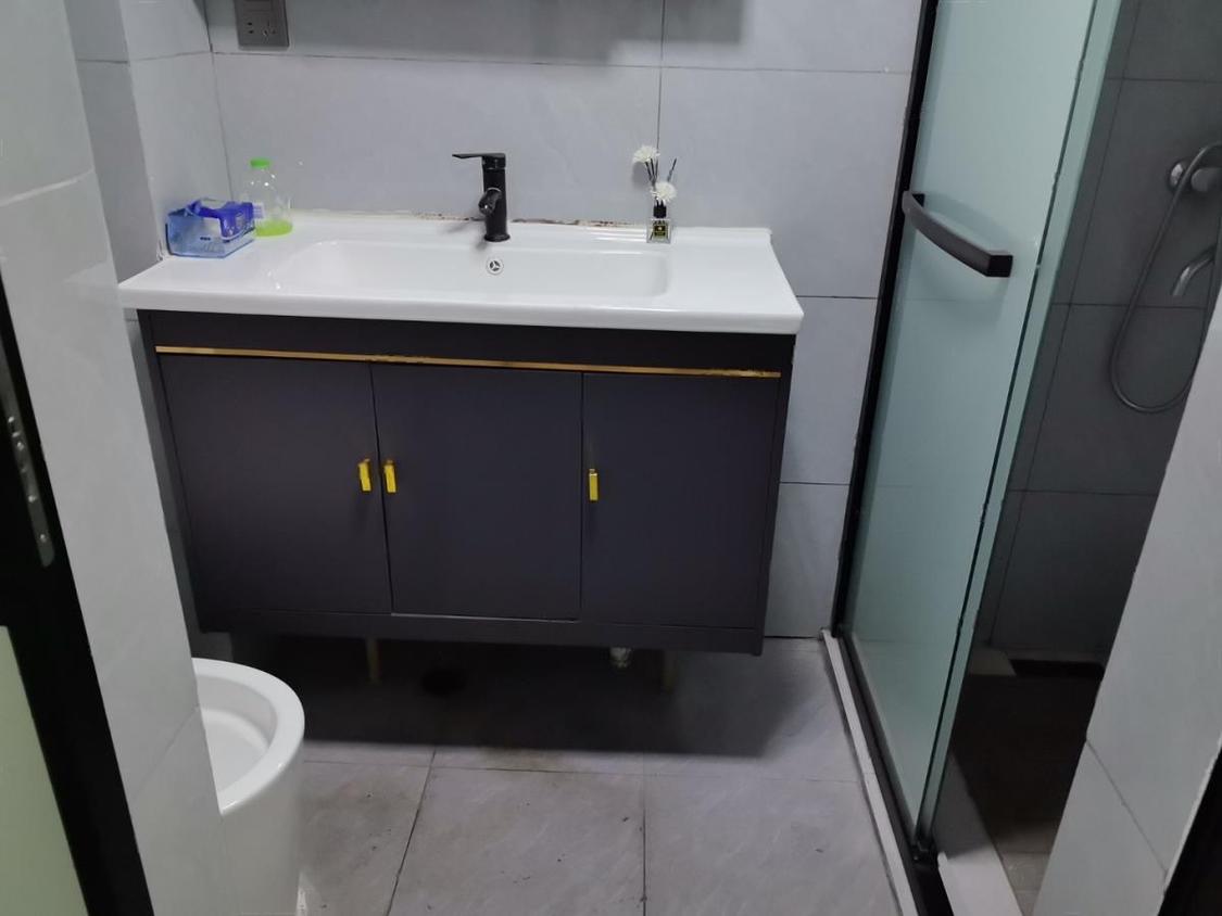 整租·龙湖光年