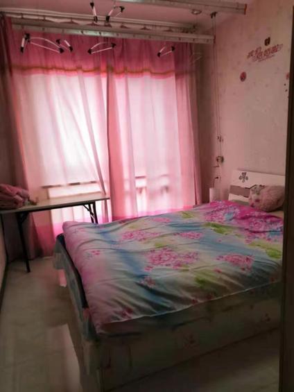 红旗柳青路整租 绿都城1室1厅/50平/中楼层