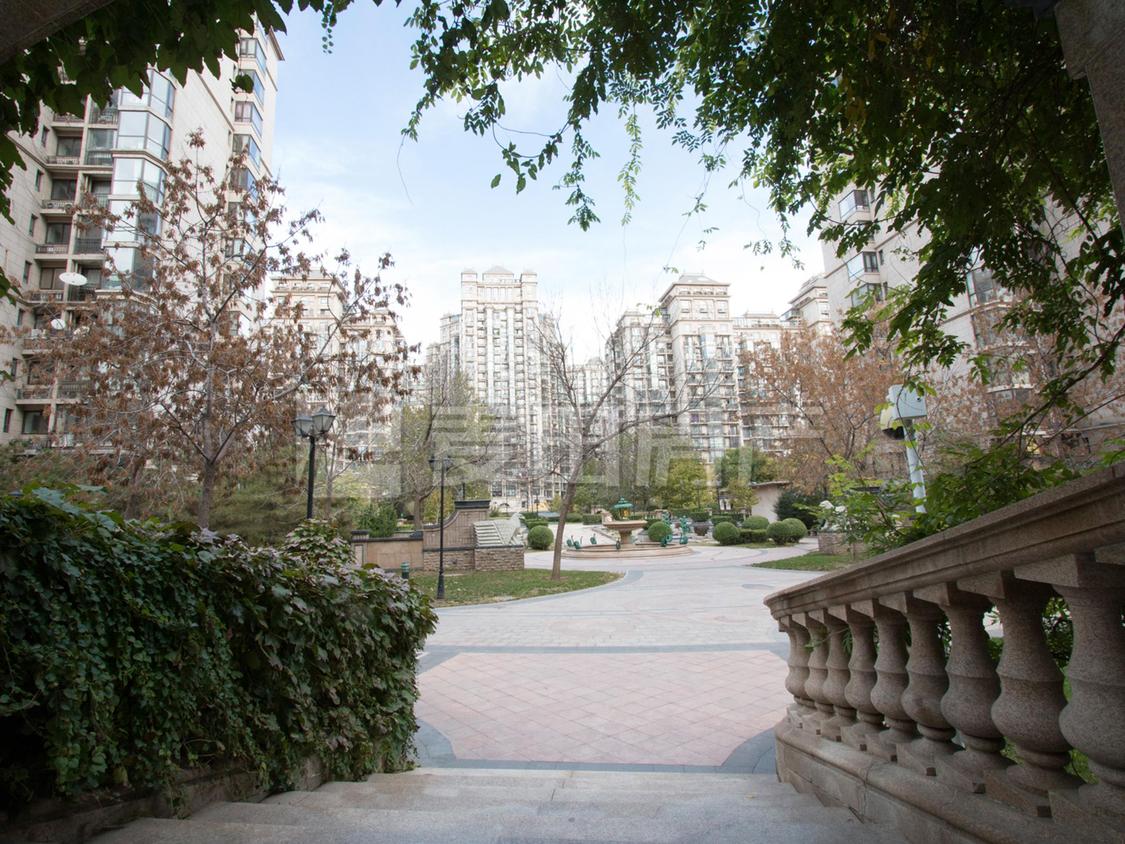 整租·珠江帝景(C区)