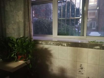 桥西北杜整租 雅馨苑(北区)1室1厅/53平/低楼层