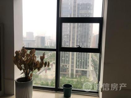 埇桥埇桥区整租 新城汇金广场住宅区1室1厅/94平/中楼层