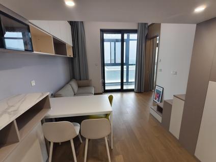 浦东前滩整租 江悦名庭1室1厅/63平/中楼层