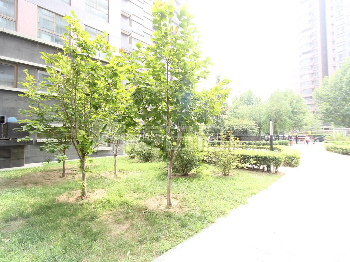 整租·大西洋新城(E区)