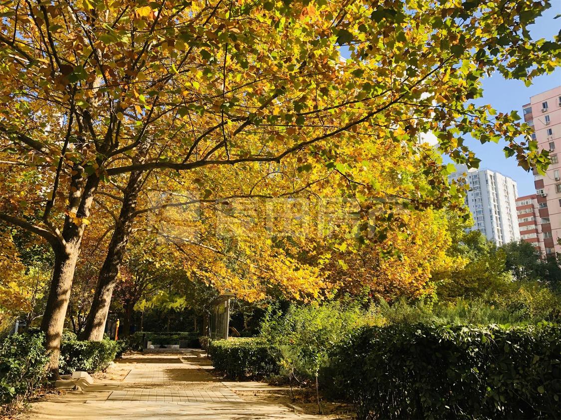 整租·逸成东苑