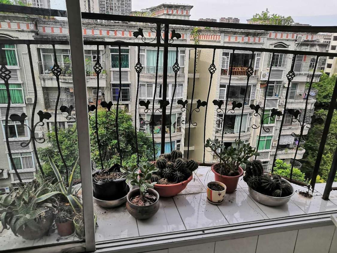 整租·宏川阳光家园