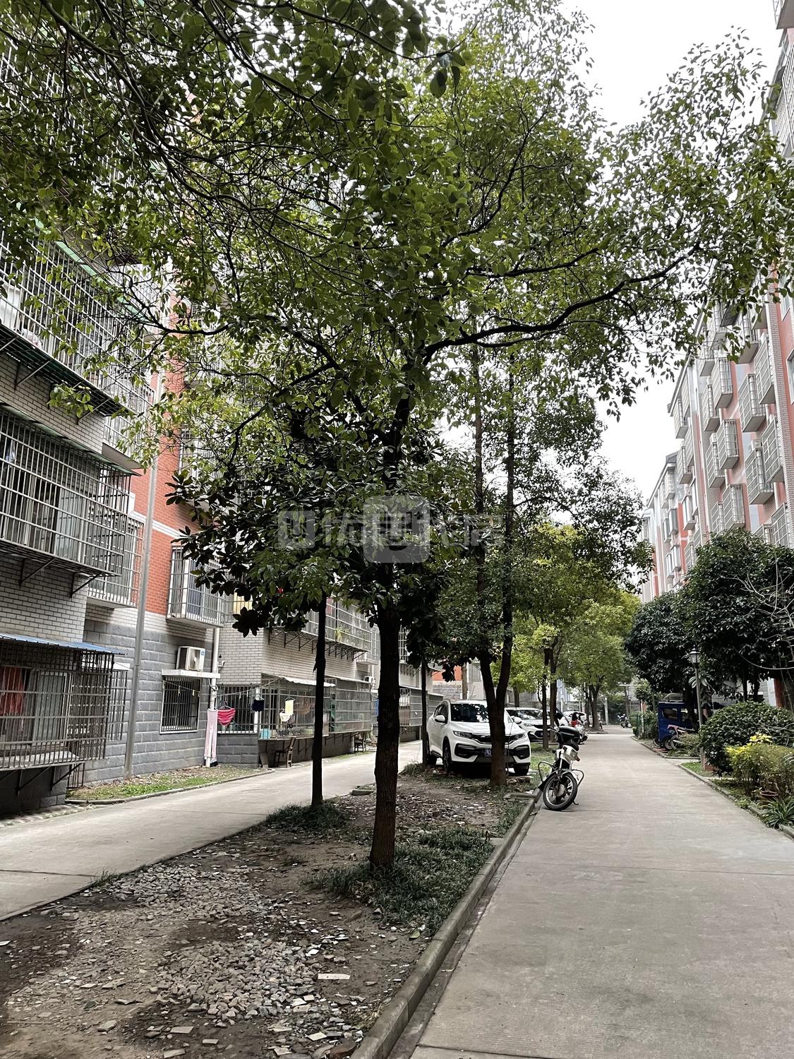 整租·沙市玉兰小区