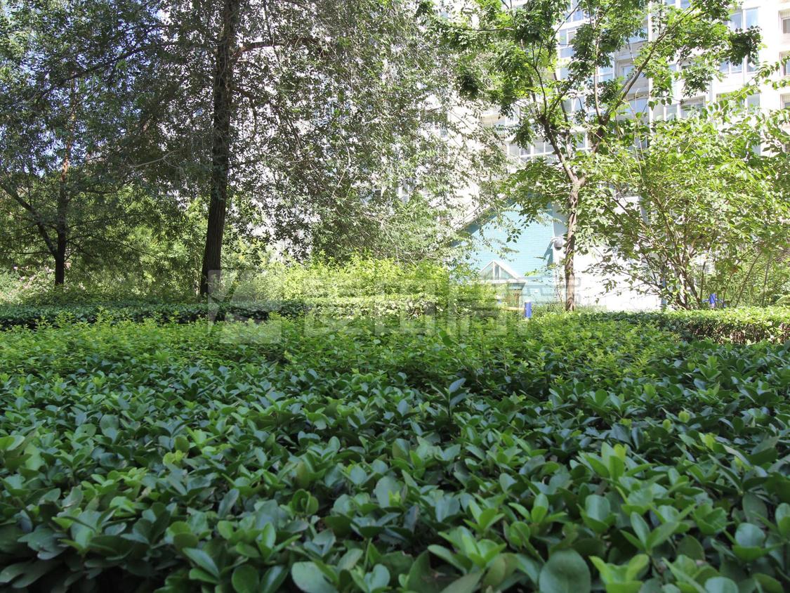 整租·嘉铭桐城(B区)