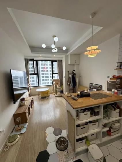 上海海悦华庭1室1厅45.96平中楼层/共29层