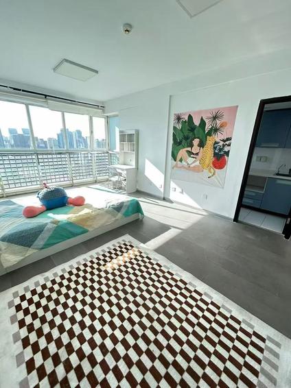 朝阳国贸CBD整租 恋日国际1室1厅/50平/中楼层