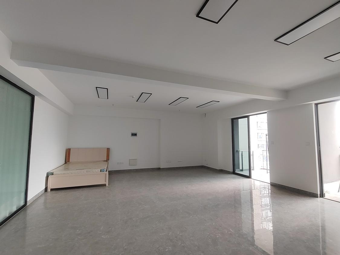 整租·绿地新海岸