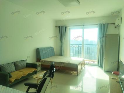 惠城江北整租 江北义乌公寓1室1厅/47平/高楼层