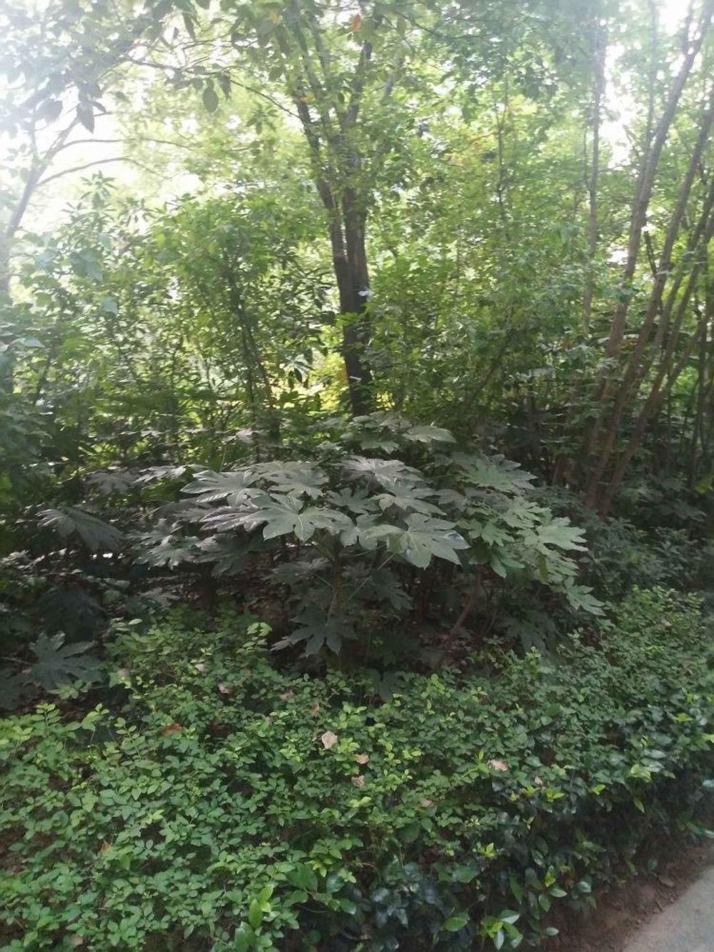整租·永威翡翠城