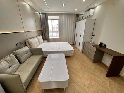 嘉定嘉定新城合租 金沙湾绿地和苑(一期)1室1厅/30平/高楼层