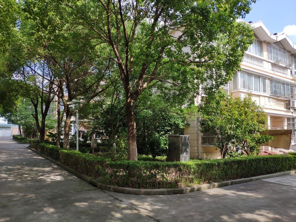 合租·阳光苑(二区)