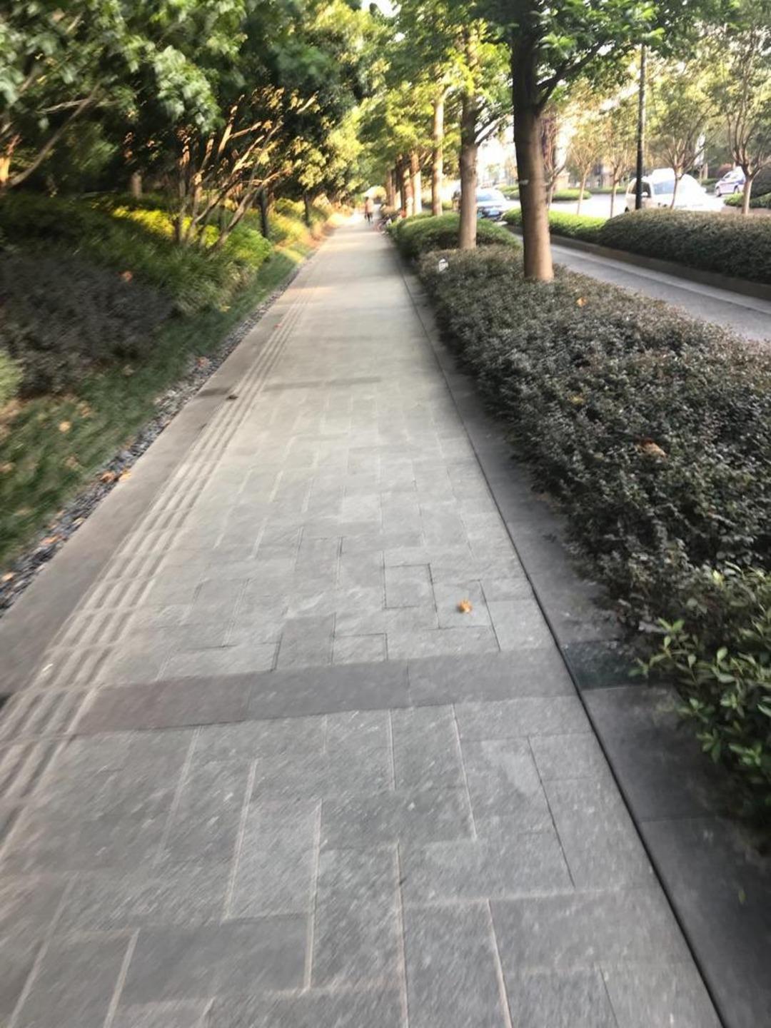 整租·上海星河湾