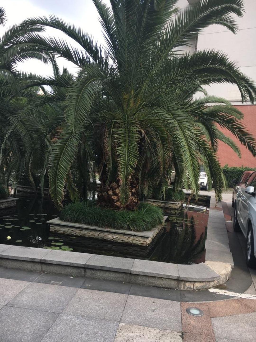 合租·新青浦佳园
