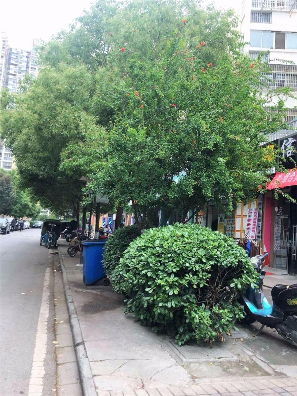 整租·莲花新城(北苑)